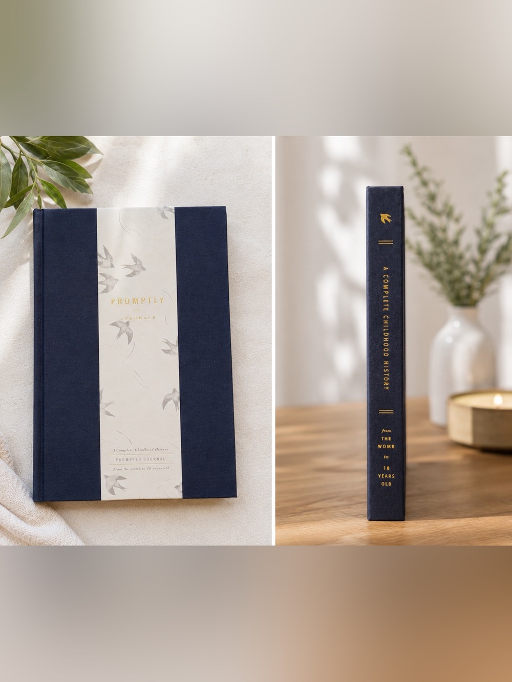 Promptly Journals, A Complete Childhood History From Pregnancy to 18 Years Navy